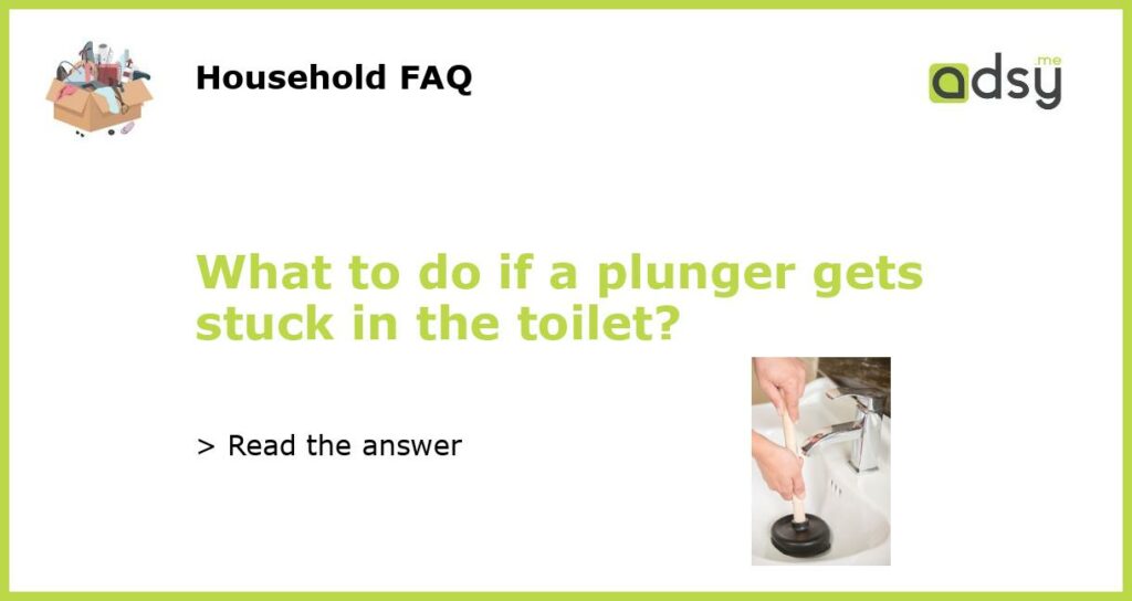 What to do if a plunger gets stuck in the toilet featured