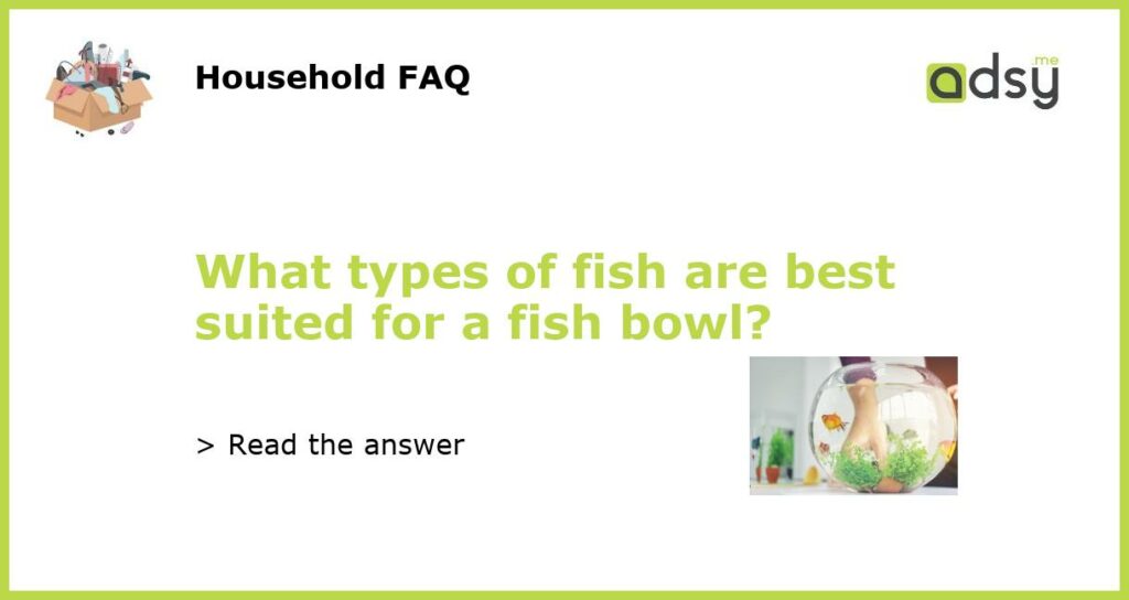 What types of fish are best suited for a fish bowl featured
