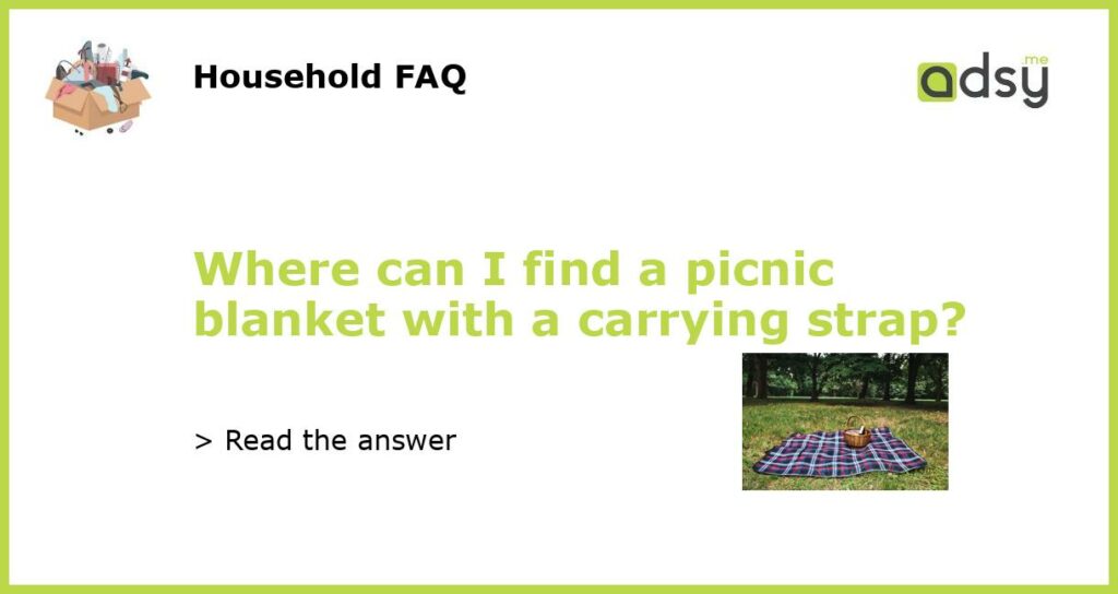 Where can I find a picnic blanket with a carrying strap?