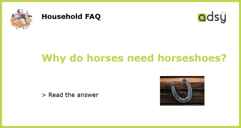 Why do horses need horseshoes featured