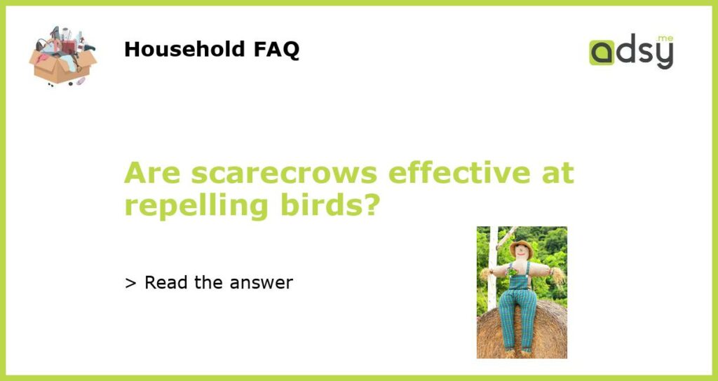 Are scarecrows effective at repelling birds featured