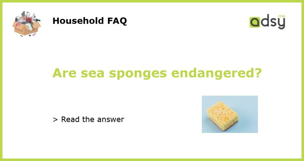 Are sea sponges endangered?