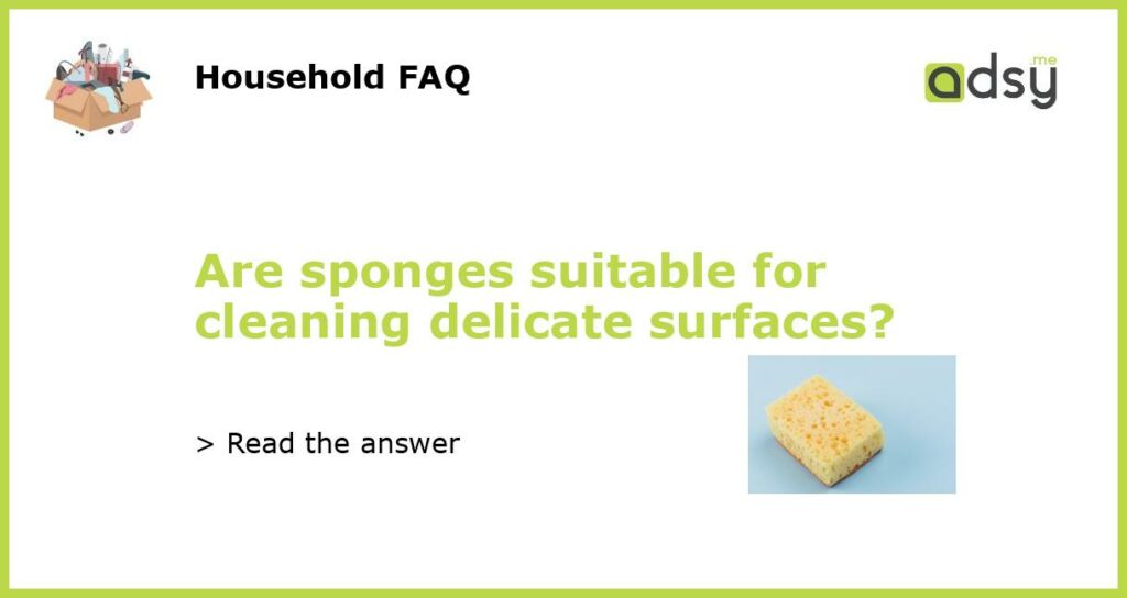 Are sponges suitable for cleaning delicate surfaces featured
