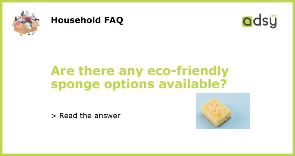 Are there any eco friendly sponge options available featured