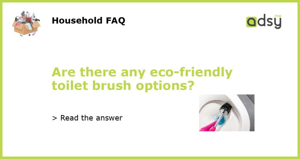 Are there any eco friendly toilet brush options featured
