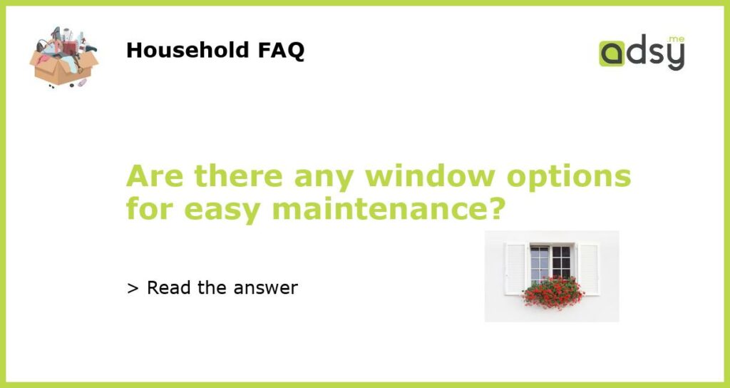 Are there any window options for easy maintenance featured