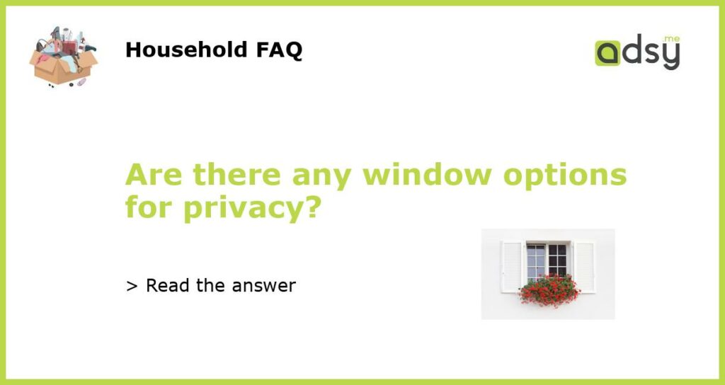 Are there any window options for privacy featured
