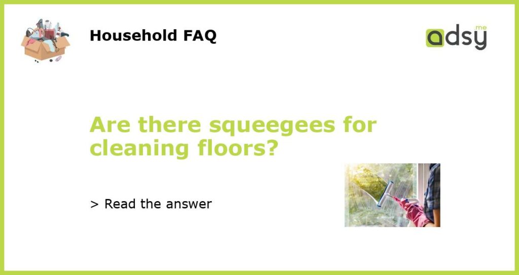 Are there squeegees for cleaning floors featured