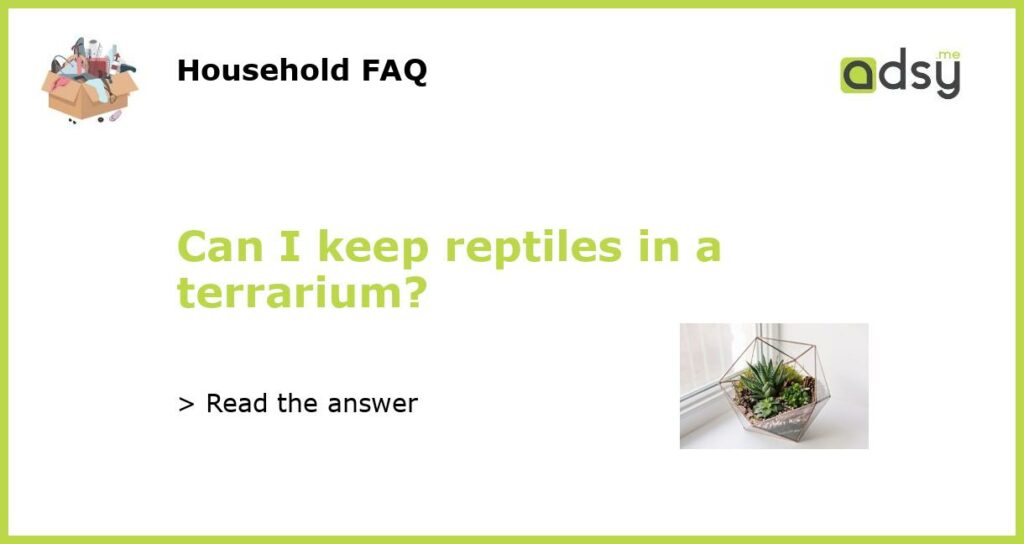 Can I keep reptiles in a terrarium featured