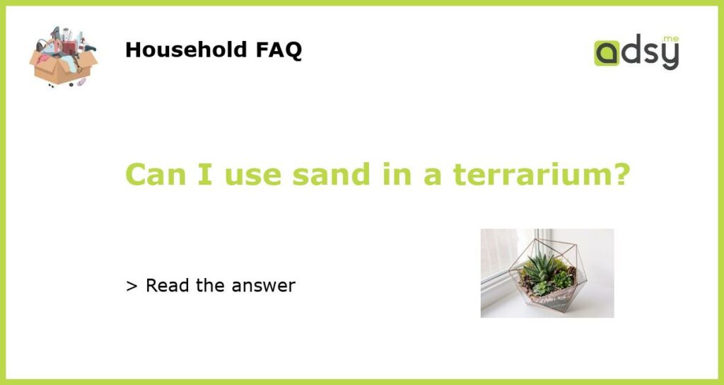 Can I use sand in a terrarium featured