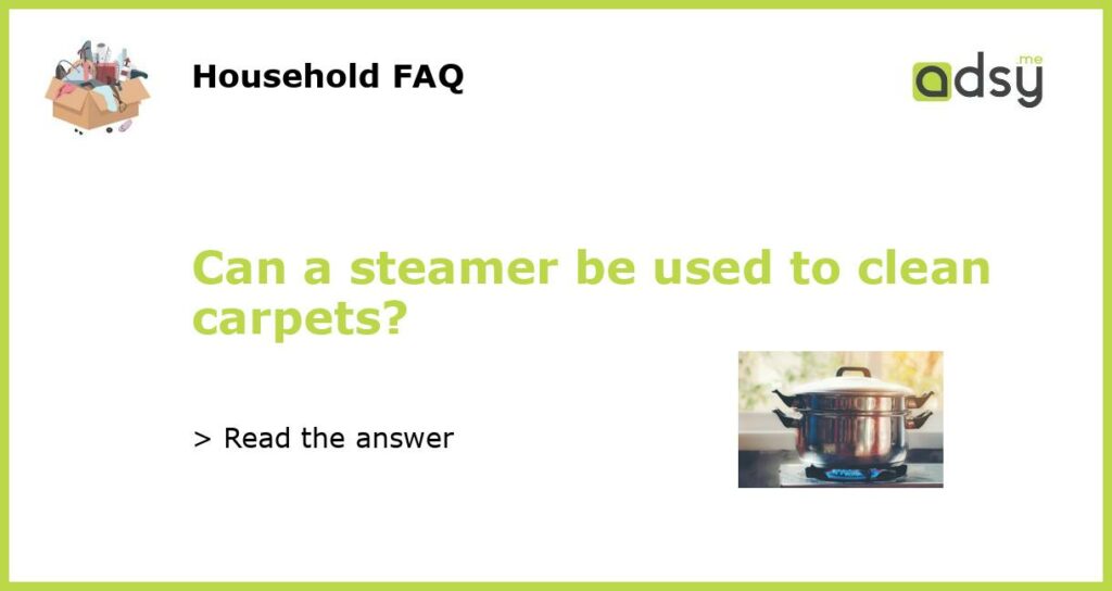 Can a steamer be used to clean carpets featured