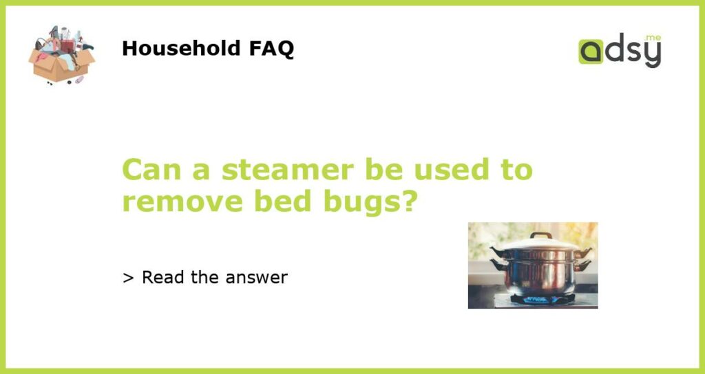 Can a steamer be used to remove bed bugs featured