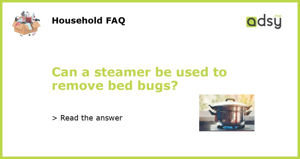 Can a steamer be used to remove bed bugs?
