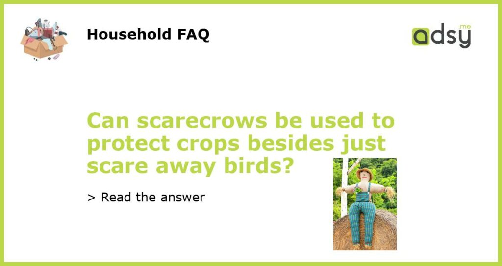 Can scarecrows be used to protect crops besides just scare away birds featured