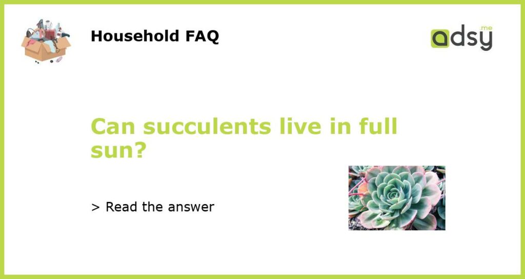 Can succulents live in full sun featured