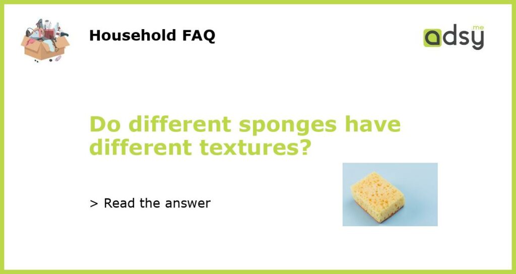 Do different sponges have different textures?