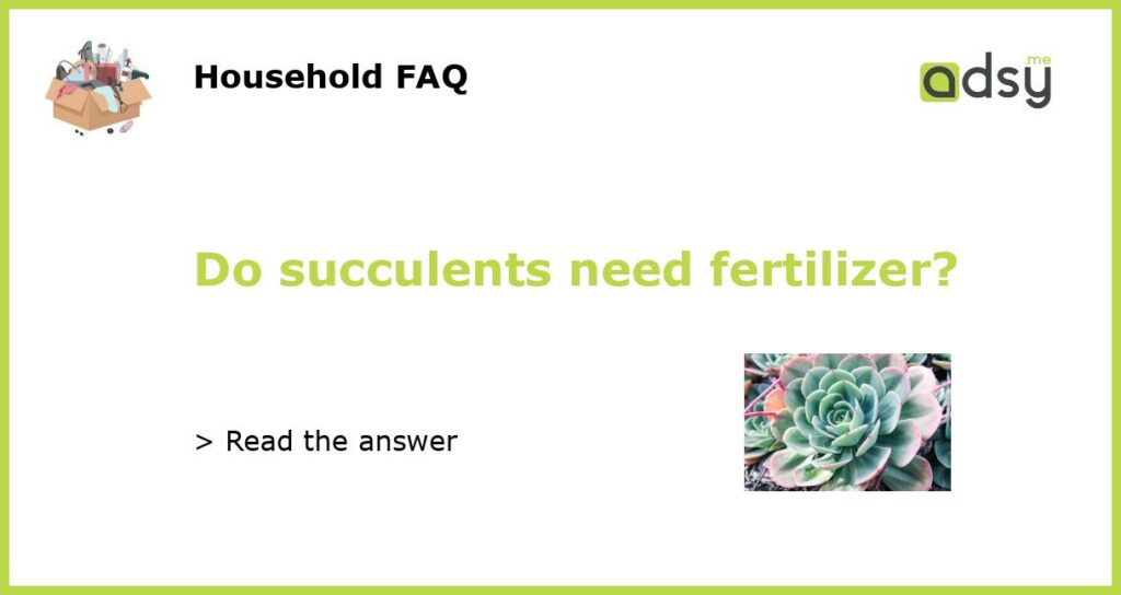 Do succulents need fertilizer featured
