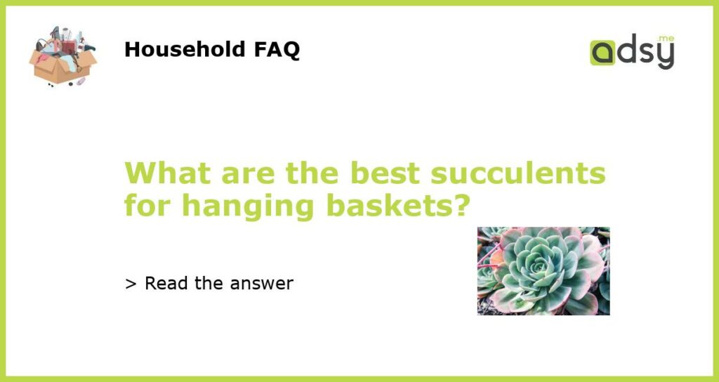 What are the best succulents for hanging baskets featured