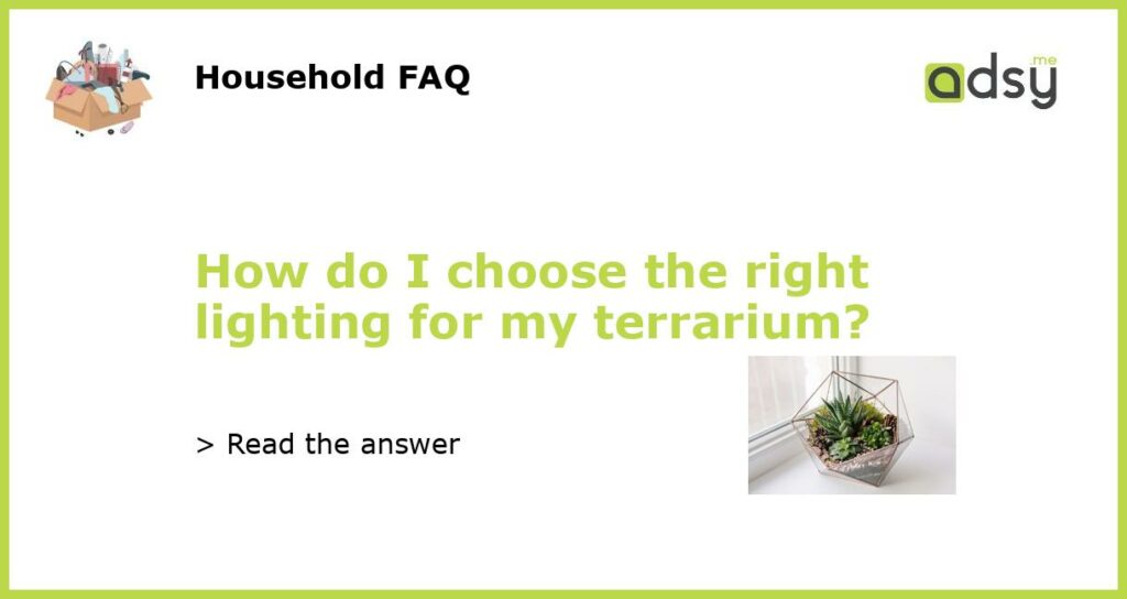 How do I choose the right lighting for my terrarium featured