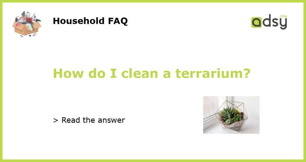How do I clean a terrarium featured
