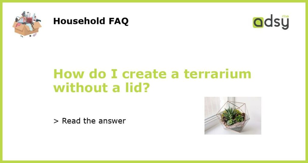 How do I create a terrarium without a lid featured