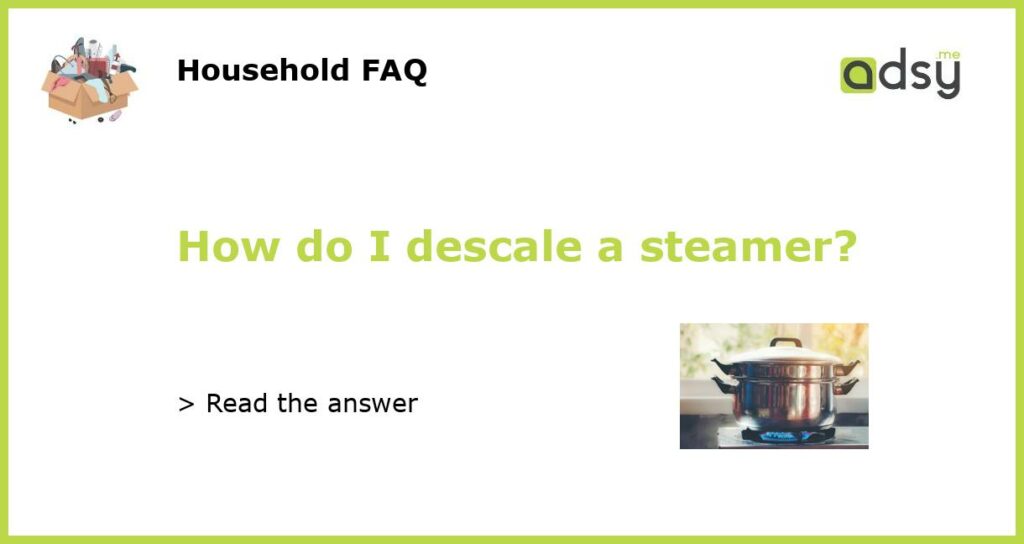 How do I descale a steamer featured