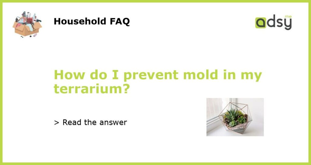 How do I prevent mold in my terrarium featured