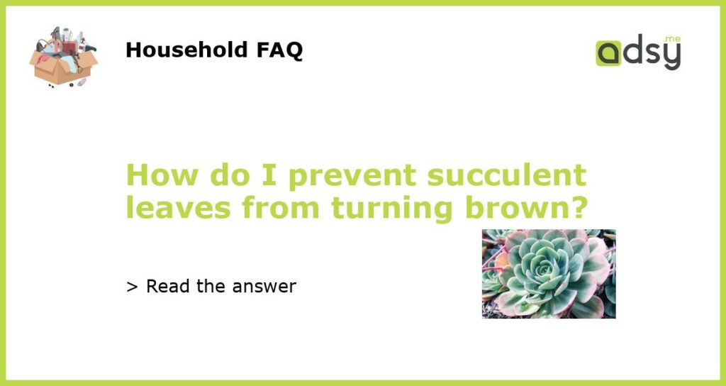 How do I prevent succulent leaves from turning brown featured
