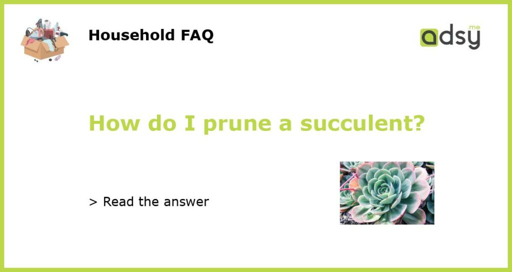 How do I prune a succulent featured
