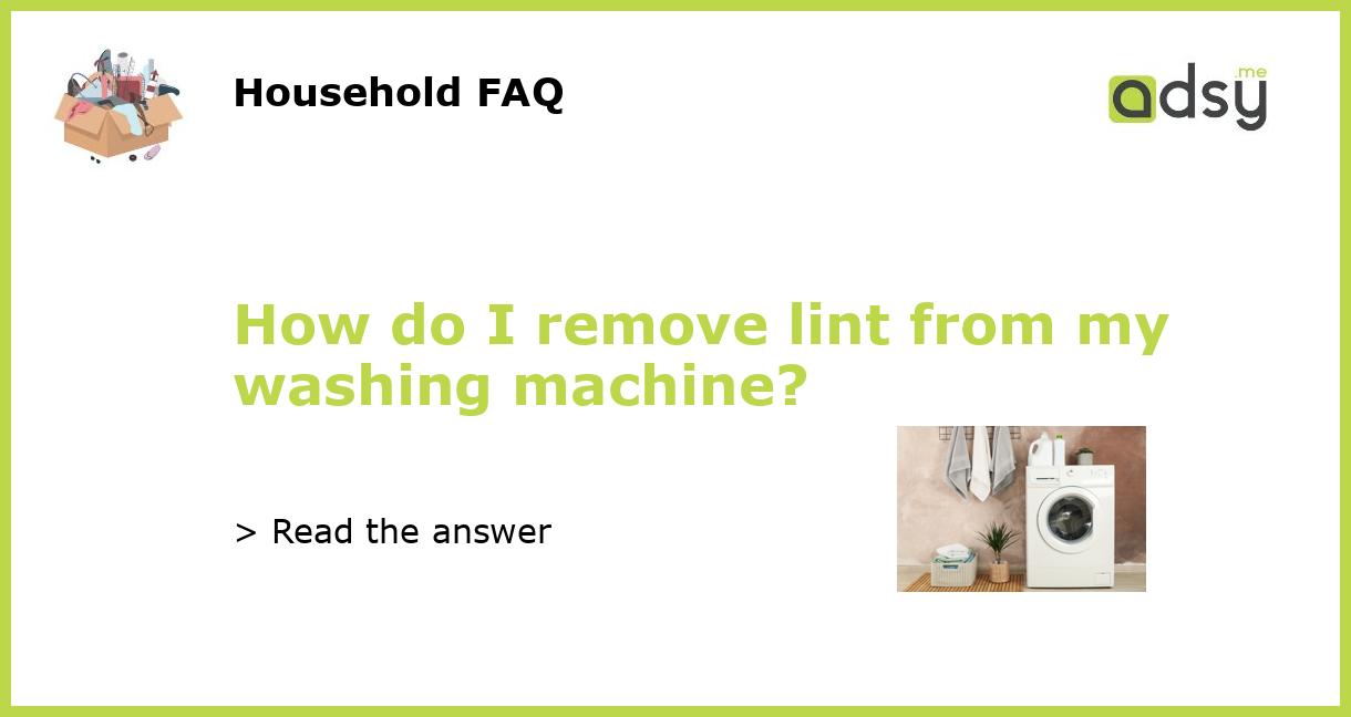 How do I remove lint from my washing machine?