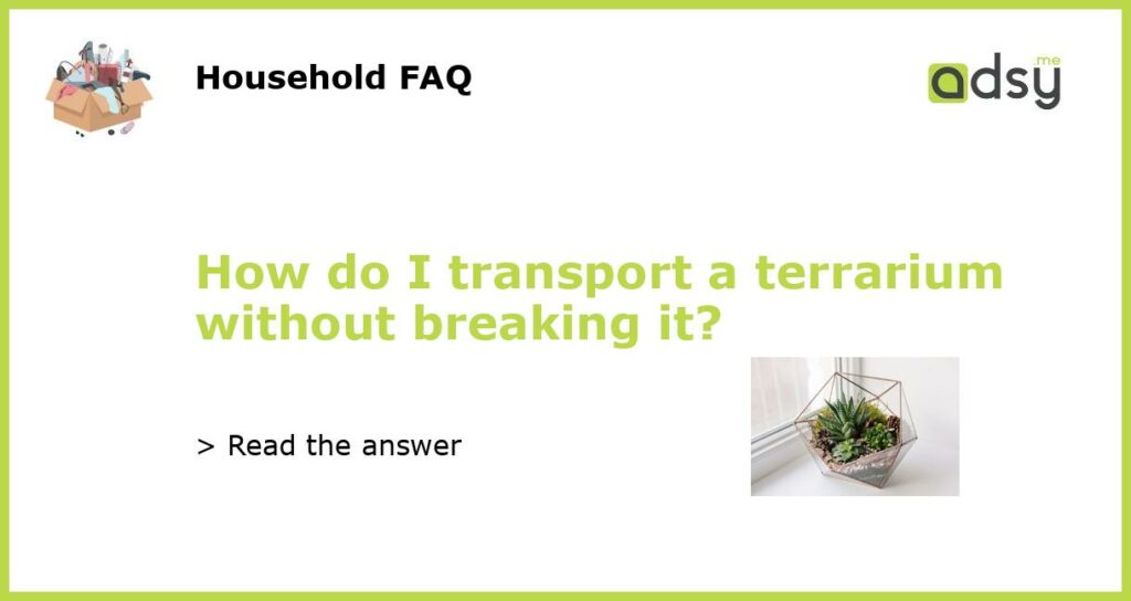 How do I transport a terrarium without breaking it featured