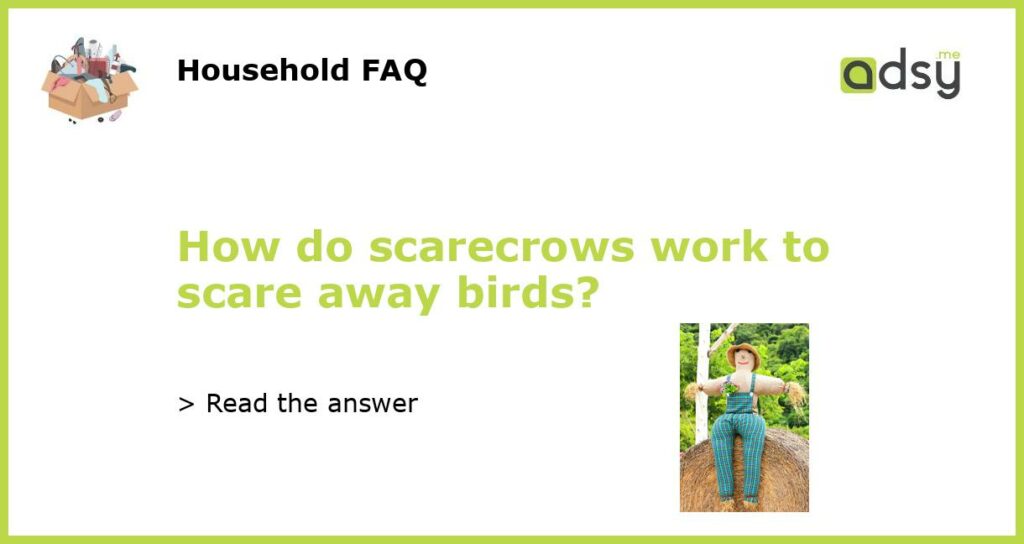 How do scarecrows work to scare away birds featured