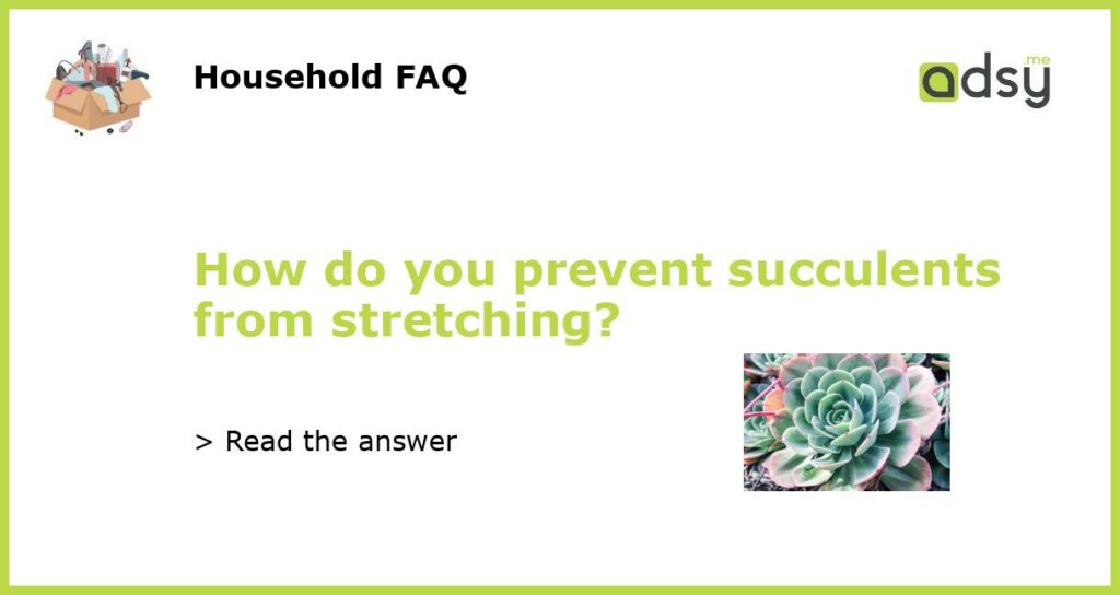 How do you prevent succulents from stretching featured