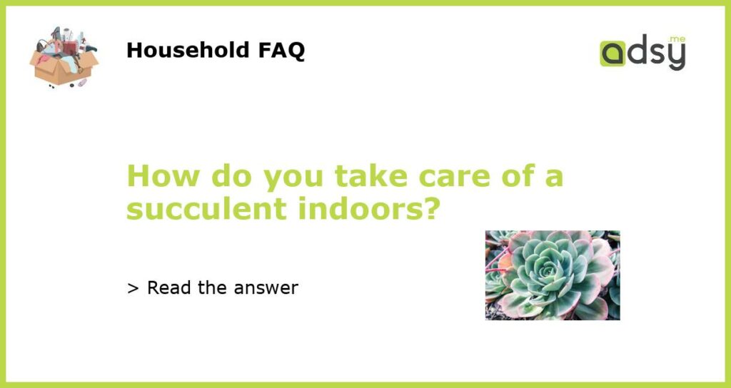 How do you take care of a succulent indoors?