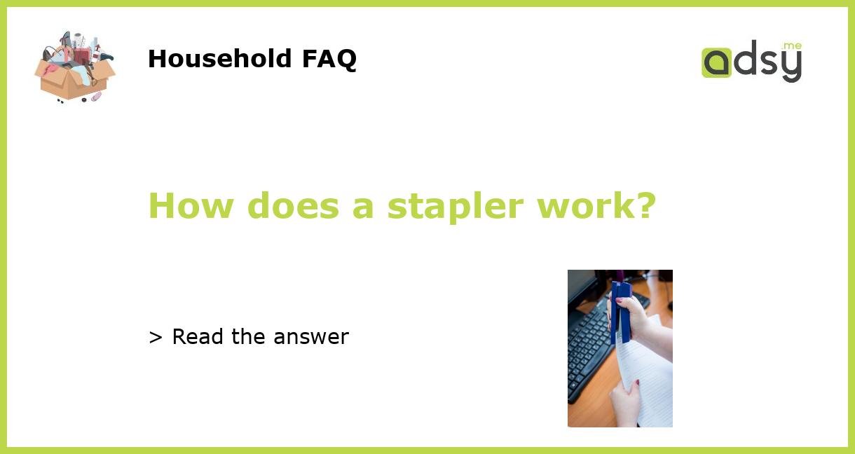 How does a stapler work?