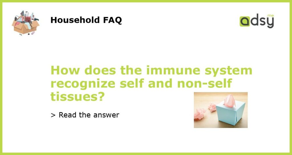 How does the immune system recognize self and non self tissues featured