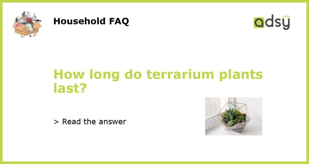 How long do terrarium plants last?