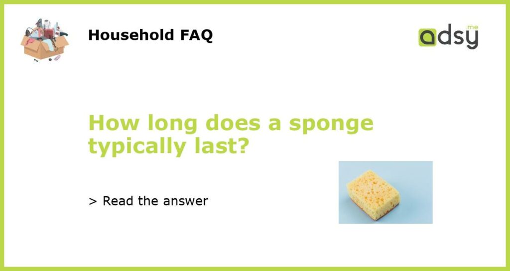 How long does a sponge typically last featured