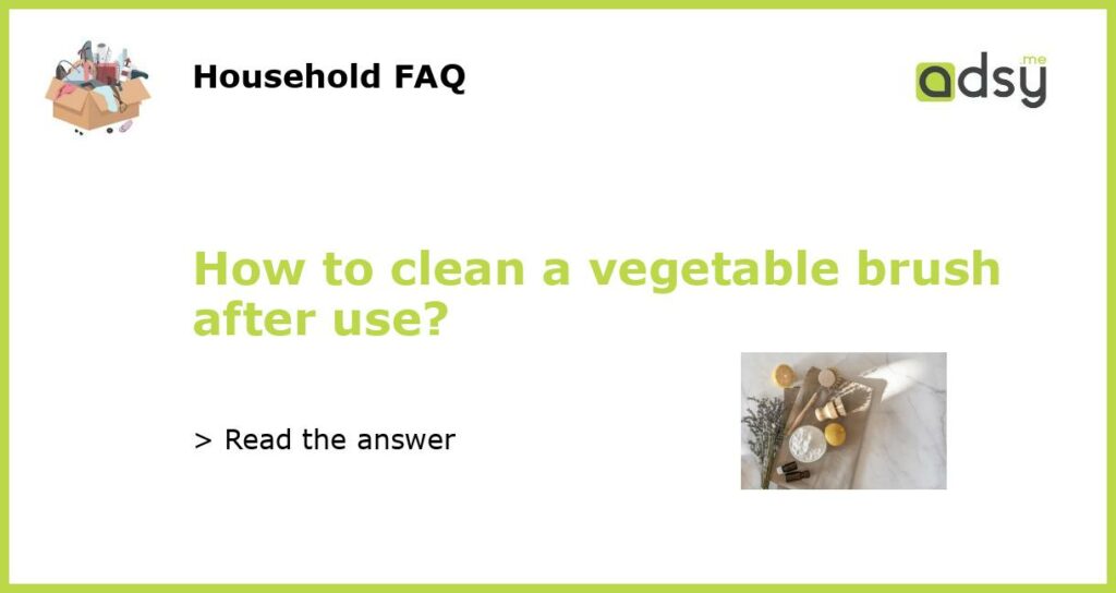 How to clean a vegetable brush after use featured