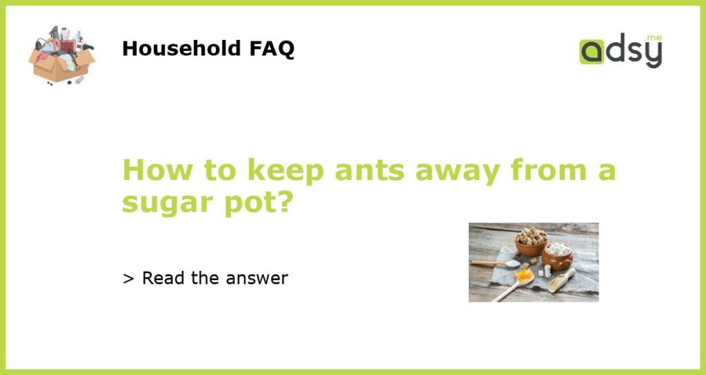 How to keep ants away from a sugar pot featured