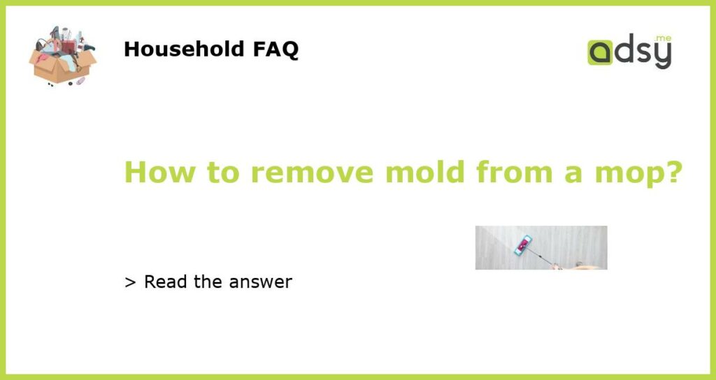 How to remove mold from a mop featured