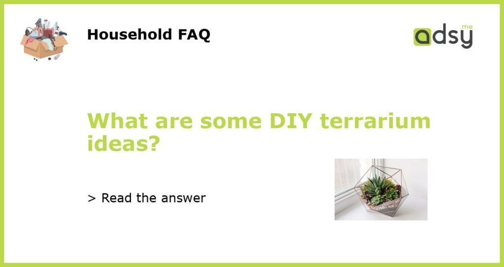 What are some DIY terrarium ideas featured
