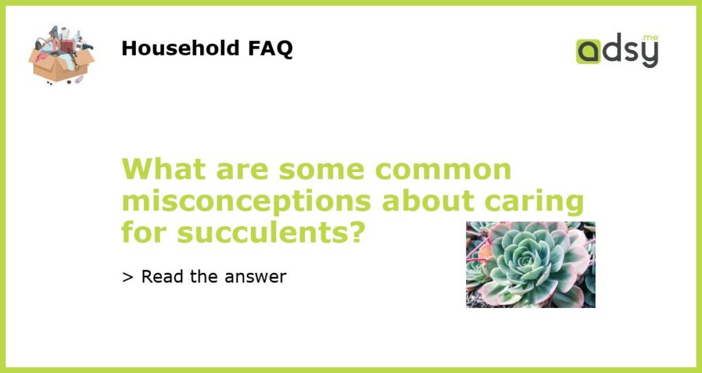 What are some common misconceptions about caring for succulents featured