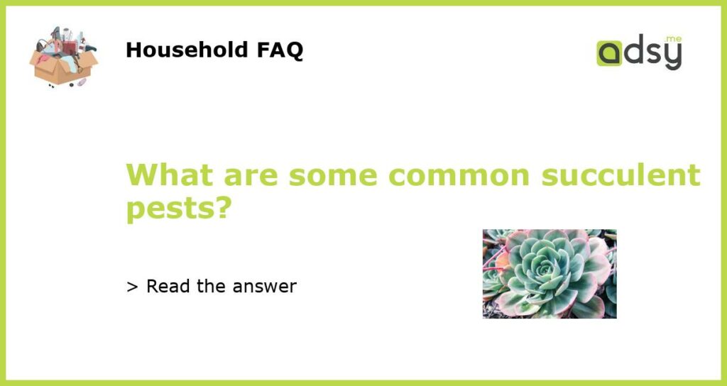 What are some common succulent pests featured