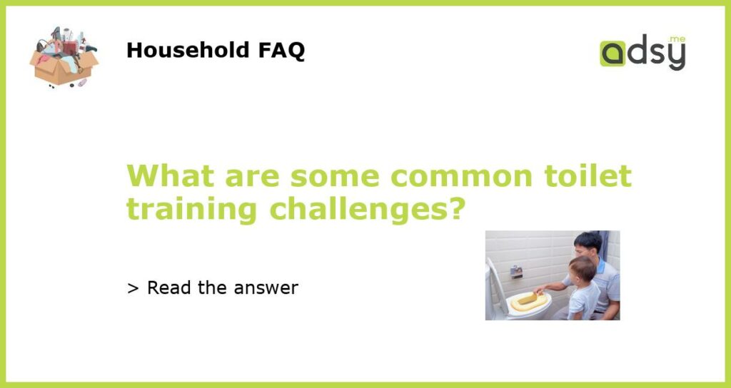 What are some common toilet training challenges featured