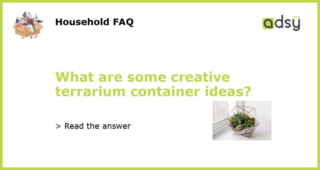 What are some creative terrarium container ideas featured