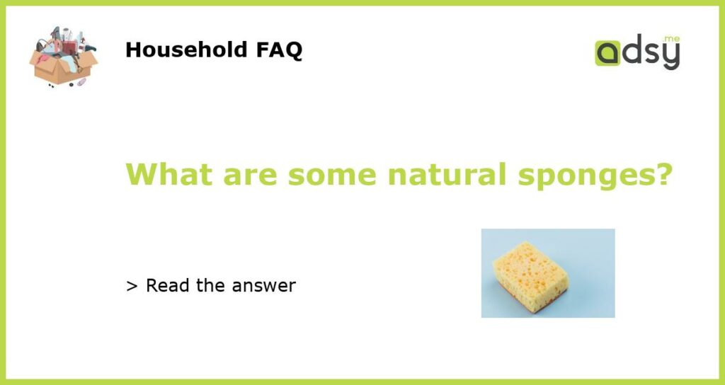 What are some natural sponges featured
