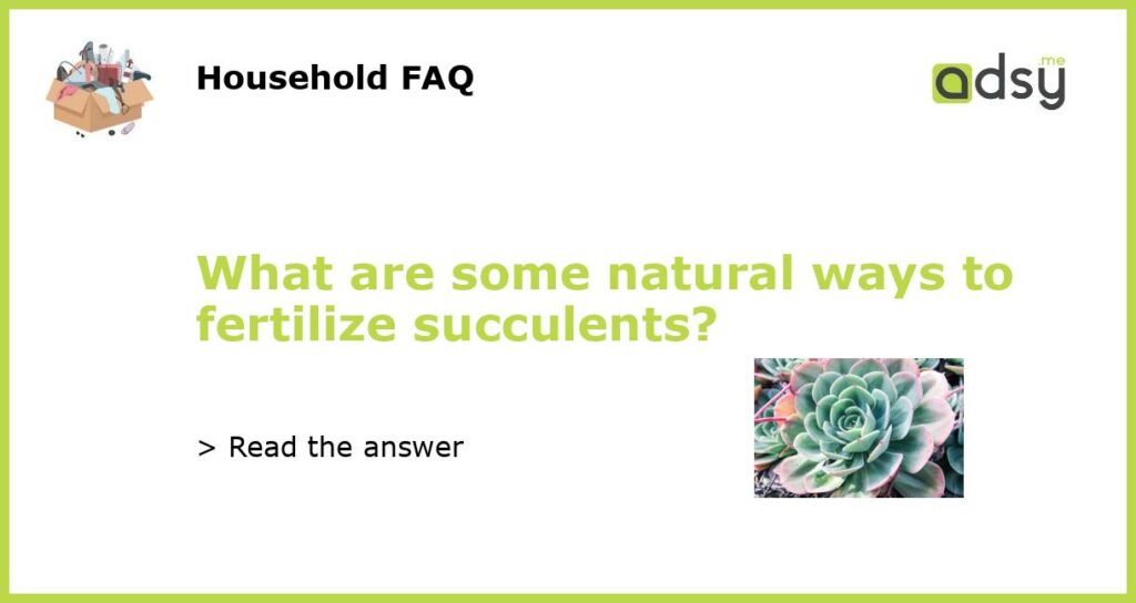 What are some natural ways to fertilize succulents featured