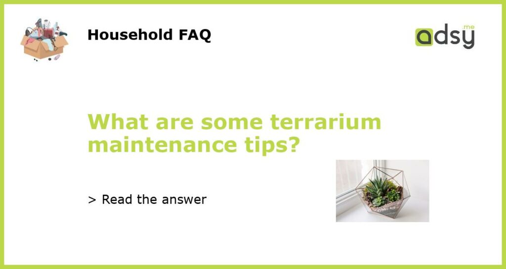 What are some terrarium maintenance tips featured