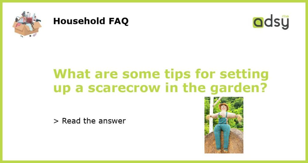 What are some tips for setting up a scarecrow in the garden featured